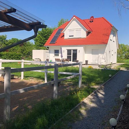 Reiterhof Kronwitter Mainbernheim Buitenkant foto
